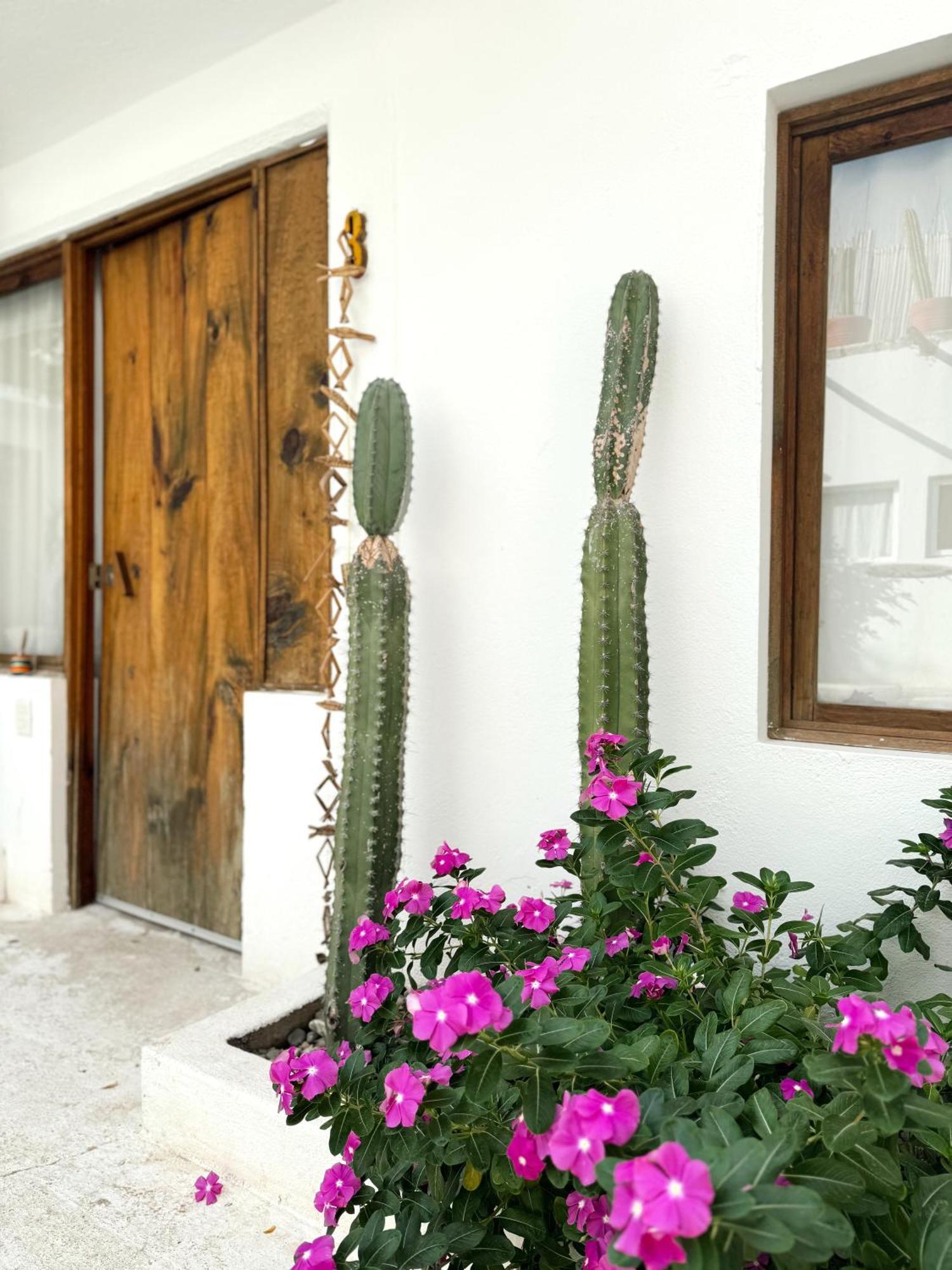 Отель Casa Leone La Punta Brisas de Zicatela Экстерьер фото