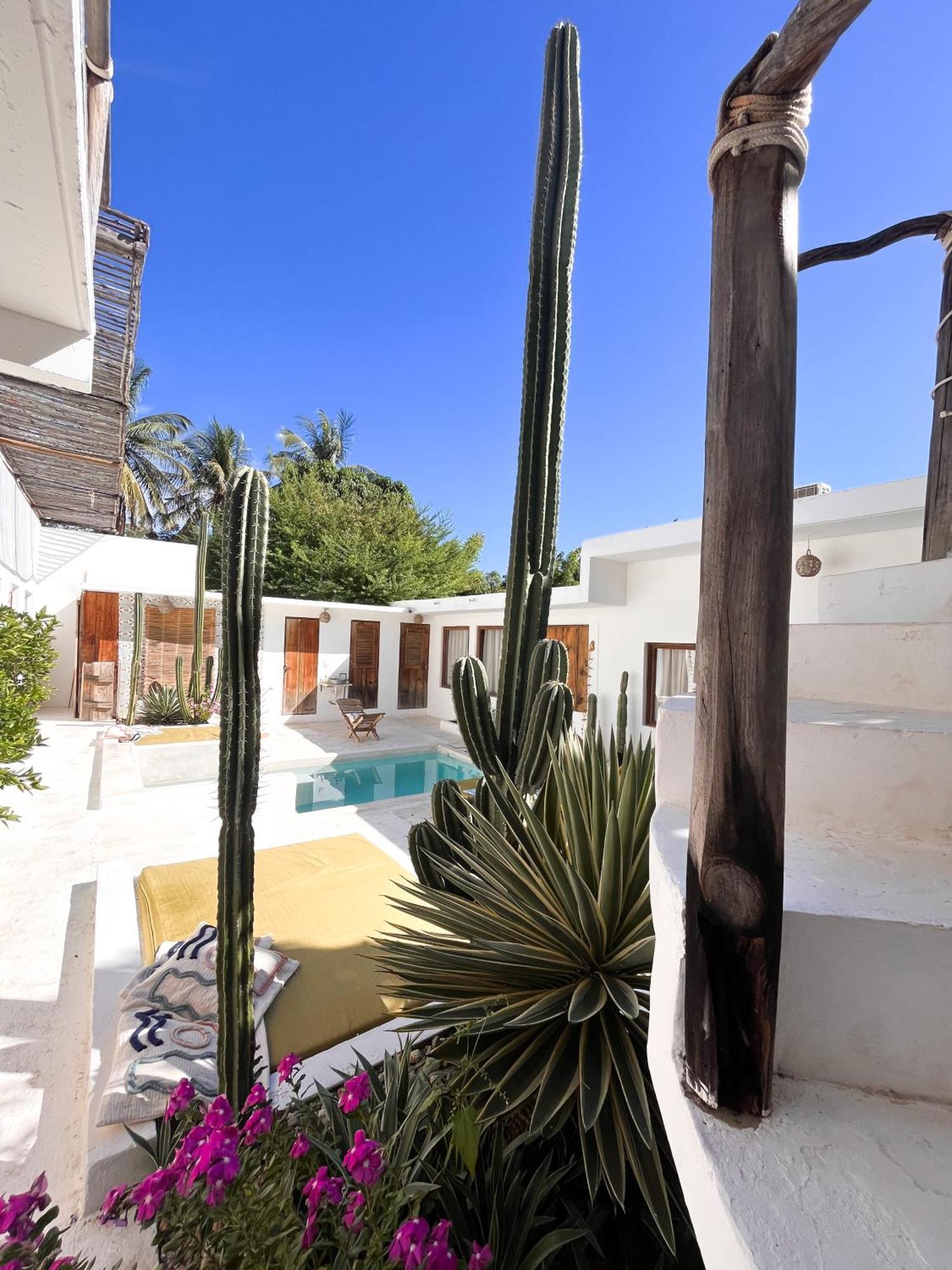 Отель Casa Leone La Punta Brisas de Zicatela Экстерьер фото